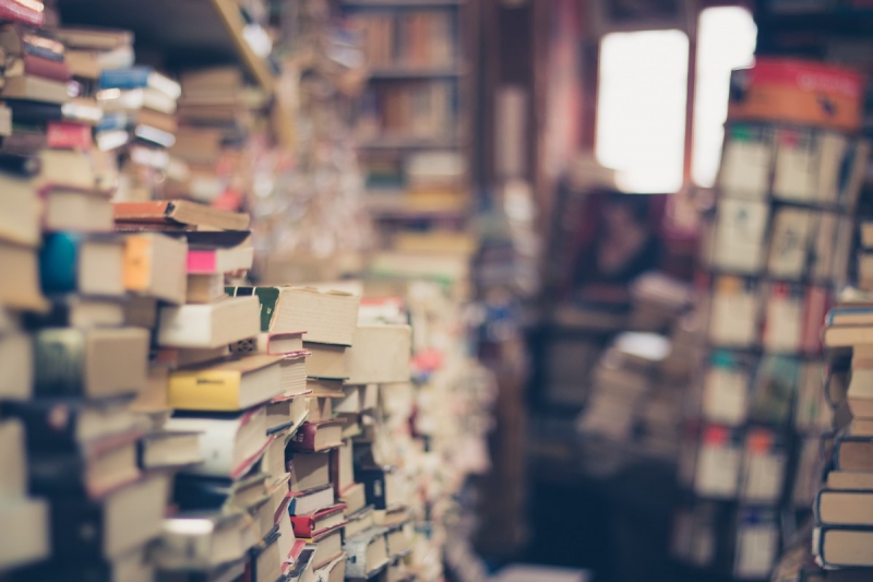 vitrine-CASTAGNIERS-min_books_stack_book_store_stack_of_books_2nd_hand_retro_hipster_shop-829090